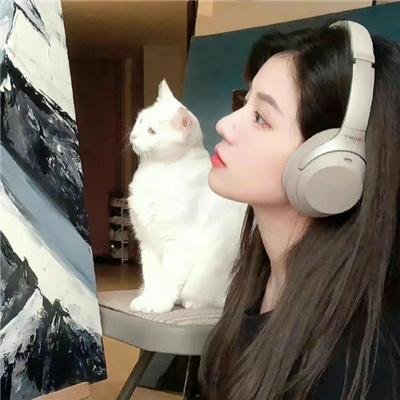 关键公敌